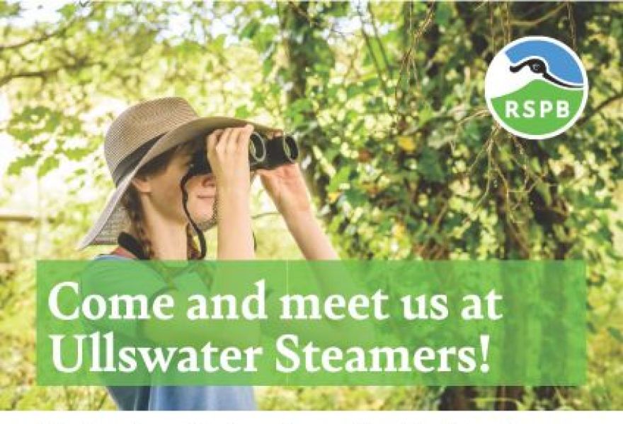 Come and meet the RSPB at Glenridding Pier