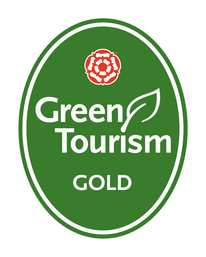 GT england gold (002)